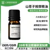 Aceite Esencial de Alcanfor para Masaje OEM Alivia el Dolor Muscular y Articular, Aceite Esencial Herbal Personalizado para Centros de Salud y Masaje de Espalda