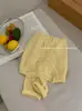 Suéter de Punto Calado de Encaje Pequeño, Suave y Lindo para Mujer, Estilo Coreano de Primavera, Top de Color Sólido Simple con Mangas Largas
