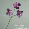 Nueva Orquídea Mariposa Phalaenopsis Vanda de Tallo Alto Flor Artificial Arreglo Floral para Sala de Estar Mesa de Comedor Decoración del Hogar Flor Artificial