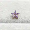 Brincos de Flor de Cinco Pétalas Marquise em Liga de Titânio Astmf-136 Titânio G23 Novos Brincos de Flor de Cinco Pétalas para Lábio Joias Cabeça