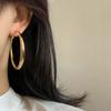 Aretes de Aro Geométricos de Metal Estilo Minimalista Aretes de Diseño Nicho de Alta Gama para Mujer Joyería para Orejas Simple y Versátil Venta al por Mayor