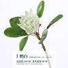 Flor Artificial pequeno imperador casamento decoração de casa decoração de flores planta artificial floral flor falsa atacado