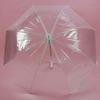 Verão 8-osso plástico transparente guarda-chuva PVC fosco cor casal publicidade guarda-chuva fábrica guarda-chuva automático pode definir LOGOTIPO