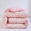 Manta Doudou de Terciopelo con Relleno de Soja 2025 Nueva Manta Neutra para Cuatro Estaciones Núcleo de Manta para Dormitorio Manta de Primavera y Otoño Estudiante Individual y Doble Manta de Invierno