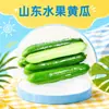 Pepinos de Fruta de Shandong Dropshipping 1/2/3/ 2.5kg Crujiente y Refrescante sin Espinas Holandés Caja Completa Verduras Frescas de Temporada
