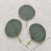 Folhas de Eucalipto Artificiais Transfronteiriças, Folhas de Maçã de Peça Única, Folhas de Eucalipto, Trepadeiras para Decoração de Paisagismo, Acessórios de Flores Artificiais