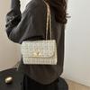 Bolsa Quadrada Pequena com Corrente Vintage para Mulheres 2026 Nova Moda Bolsa de Ombro de Lã Comércio Exterior Dropshipping Bolsa Transversal