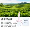Fábrica de Aromaterapia Xiangdao Pingente de Aromaterapia de Gesso Personalizado Incenso para Carro Pendurado Oem Aromaterapia Presente de Acompanhamento Atacado