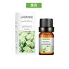 Aceite Esencial de Planta de Aromaterapia Soluble en Agua Perfumeoil Perfume Aceite Esencial de Aromaterapia Fragancia de Larga Duración Aceite Esencial de Aromaterapia Fresco