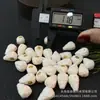 Cuentas Premium de Hueso de Camello sin Marcas Visibles, Etiqueta Incrustada, Conector de Tres Vías, Accesorio Versátil para Pulseras DIY, Cuenta Espaciadora, Colgante de Cuerda Trenzada, Accesorio Creativo