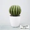 Mobiliario para el hogar, Suculentas simuladas, Plantas pequeñas en maceta, Plantas verdes artificiales, Cactus en maceta, Cactus bonsái decorativo