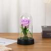 Luz Nocturna de Flor Eterna Transfronteriza con Cubierta Acrílica para Dormitorio Mesita de Noche Adornos de Rosa Regalo de San Valentín Cumpleaños