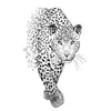 Estilo Sombrio Dominador Tigre Cruz Coroa Asas Série Adesivos de Tatuagem para Homens, Garota Popular Produto Novo Transfronteiriço