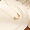 Sentido de alta gama diseño simple de rama de olivo nueva moda nicho cadena de acero de titanio no se decolora cadena de clavícula de lujo ligero para mujer