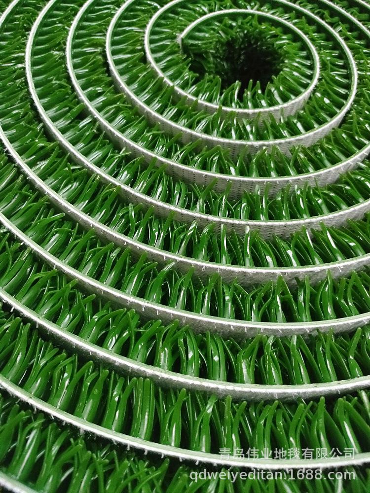 淘金草