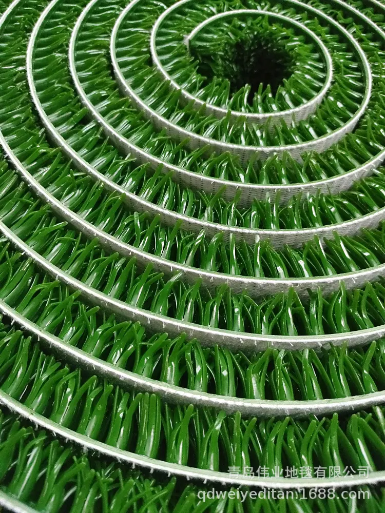 淘金草