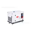 Generador Diésel de 6.5Kw Autoarranque Pequeño para Hogar 380/220 Respaldo de Emergencia Generador Diésel Silencioso