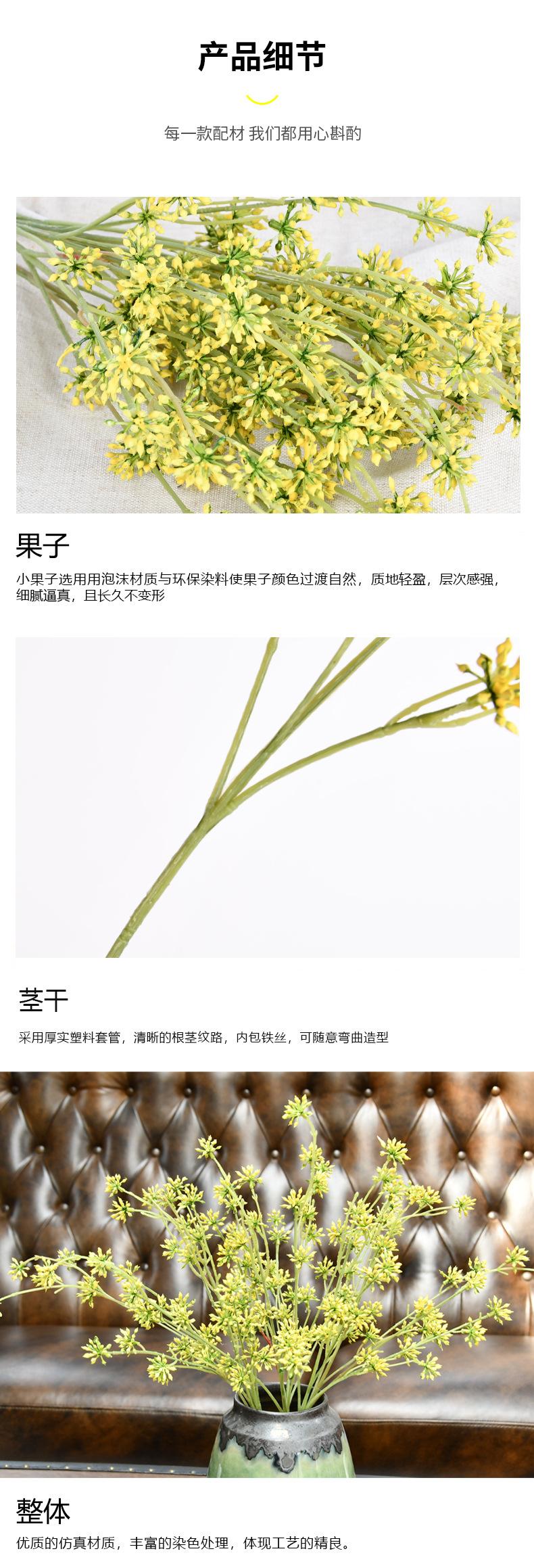 紫颜八角果细节