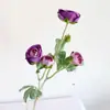 Con Yang Siembra de Cabello Simulación 5 Lulian Pequeños Nórdico ins Decoración del Hogar Boda Flor Falsa Peonía Flor de Simulación