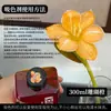 Colorante para flores, absorbente de color para rosas, solución absorbente de color, tinte, colorante para ramos y floristerías