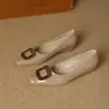 Cómodos de llevar, tacón medio, tacón grueso, zapatos Mary Jane, novedades para primavera y otoño, estilo delicado, hebilla cuadrada metálica, sin cordones, zapatos de un solo color con corte bajo