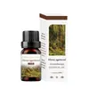 Comercio exterior transfronterizo aceite esencial de aromaterapia soluble en agua humidificador piedra expansora aceite esencial interior armario ambientador incienso fresco