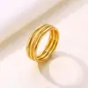 Anel Tendência Tiktok Estilo Coreano e Japonês Luxo Ouro Fosco 18K Aço Titânio Banda Fina Dedo Indicador Anel de Cauda