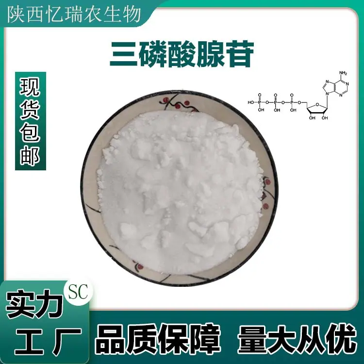 三磷酸腺苷