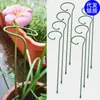 Marco de Soporte para Plantas para Hortensias, Orquídeas, Soporte Fijo para Rosas Trepadoras, Marco de Soporte de Hierro Artístico Anticaídas