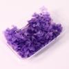 5 gramas de 100 gramas de Hortênsia Anna Classe B Artigos Transparentes Cor Quebrada Código Quebrado Micro Defeitos Flor Eterna Hortênsia de Madeira Flores Preservadas