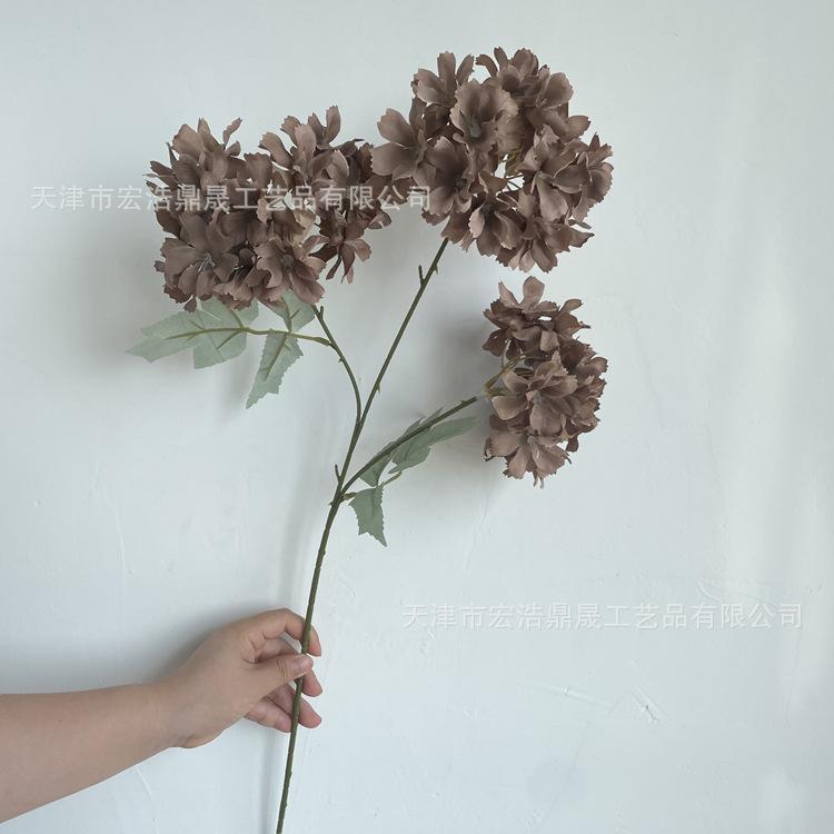 微信图片_202207211439006_副本