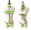Ropa interior sexy para mujer europea y americana, traje de baño, bragas, sujetador sexy para mujer, perspectiva, traje de baño bikini de una pieza