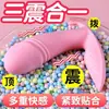 Vibrador Vestible Femenino Control Remoto Inalámbrico Palo de Masaje de Resonancia de Tres Puntos Dispositivo de Masturbación Eléctrica con Calefacción Inteligente