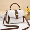 Bolsos para Mujer 2025 Nuevo Trendy Otoño e Invierno Bolso Cuadrado Pequeño de Alta Gama Bolso Satchel de Gran Capacidad Bolso Bandolera para Mujer Venta al por Mayor