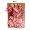 Bolsa de Materiales DIY Flor Seca Inmortal Tuanjian Marco de Fotos Pintura Tarjeta de Felicitación Tuanfan Ramo Pequeño Hecho a Mano Flor Real Bolsa de Flores en Relieve
