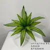 Planta Táctil Real Hoja de Calathea Caparazón de Tortuga Hotel Restaurante Exhibición Paisaje de Palmera Decoración de Pared Verde