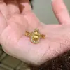 Nuevo Anillo de Calabaza de Oro con Dibujo de Alambre de Circonita Estilo Retro Chino Anillo con Borde de Diamante para Mujer Anillo Abierto de Tono Vibrante