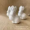 Espuma caricatura Conejo Conejo blanco embrión conejo de Pascua embrión hecho a mano DIY fábrica venta directa