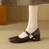 Zapatos Nuevos para Mujer Primavera y Otoño 2025 Hebilla Cuadrada Tacón Medio Grueso Zapatos de Una Sola Capa Zapatos Mary Jane Simples Tallas 32-43 Talla Zapatos de Comercio Exterior