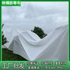 Tela No Tejida para Protección de Cítricos Contra el Frío en la Región de Sichuan, Uso Agrícola y de Paisajismo, Protección contra Heladas, Conservación del Calor, Polipropileno PP Impermeable
