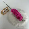 Orquídea Mariposa Adhesiva Simulada de 9 Cabezas Flor de Pasador 3D Adorno para el Cabello Flor para Fondo de Boda Arreglo Floral Corona Hecha a Mano Decoración Flores Artificiales Venta al por Mayor