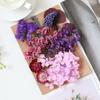 [Kit de Materiales para Repujado A5] Flores Secas Flores Preservadas Marco de Fotos Kit de Materiales para Repujado Materiales Florales DIY Vela Aromática Flores Secas