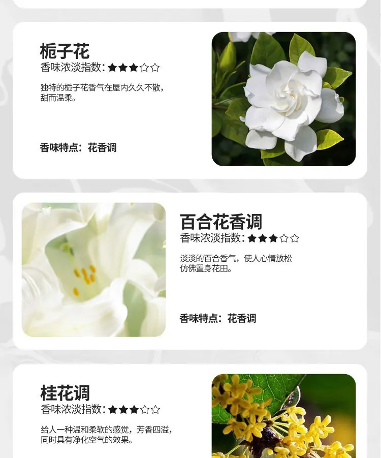 模板_10