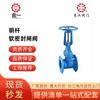 Fábrica de Válvulas Lianggong de Shanghái Válvula de Compuerta de Fuego Z41X-16Q Válvula de Compuerta de Vástago Abierto con Sellado Suave Válvula de Compuerta Elástica de Agua para Sala de Bombas