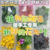 Flores para Teñir con Plantas, Combinaciones Mixtas de Hojas Frescas, Florales y Plantas Verdes, Materiales Frescos de Plantas para Frotar