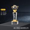 Nuevo Trofeo de Cristal Impresión 3D Material Nuevo Creativo Medalla Hecha a Medida Impresión a Color Reunión Anual Corporativa Premio de Reconocimiento Destacado