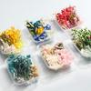 Paquete de Materiales DIY de Flores Eternas Mixtas Flores Secas Flor Real Natural Secada al Aire Vela Abanico Marco de Fotos Caja de Flores Secas