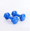 Halteres para Fitness em Casa, Halteres Sólidos de Ferro Fundido Revestidos de Plástico, Equipamento Portátil para Perda de Peso, Pequenos Halteres de Yoga para Mulheres, Halteres de Ferro Fundido