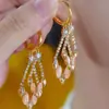 Brincos de zircônia e diamante personalizados de nicho de alta qualidade 2024 nova moda Coreia do Sul brincos de temperamento de celebridade da internet para mulheres