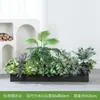 Série de Expressões Idiomáticas de Quatro CaracteresPlantas Verdes Simuladas para Paisagismo, Floreiras de Flores Artificiais, Divisórias, Vitrines de Exposição de Plantas Tropicais Biônicas para Exterior